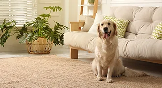 ペットのためのエアコン設定ガイド！犬・猫と快適に過ごす方法
